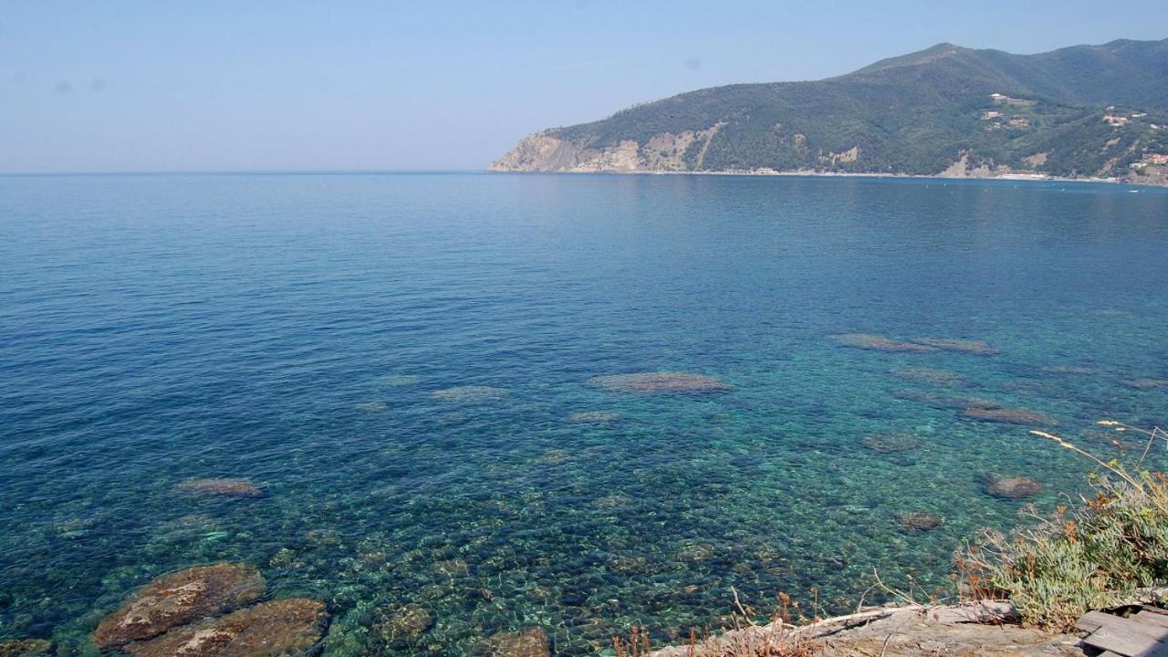 Il Rospo Ξενοδοχείο Moneglia Εξωτερικό φωτογραφία